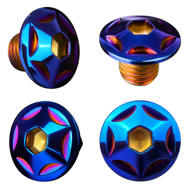 ミラーホールカバーボルト キャップ M10×10mm P1.25 正ネジ 逆ネジ 2個