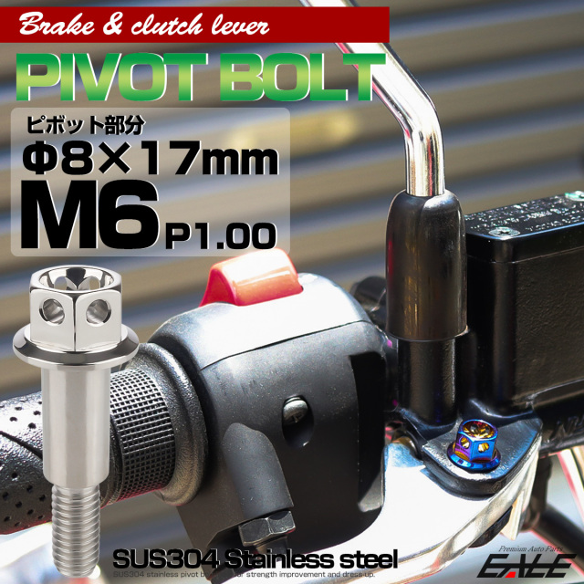 ブレーキレバー クラッチレバー 取付用 ピボットボルト Φ8×17mm M6×13mm P=1.00 シルバー フラワーヘッド SUS TH0530 【メール便可】