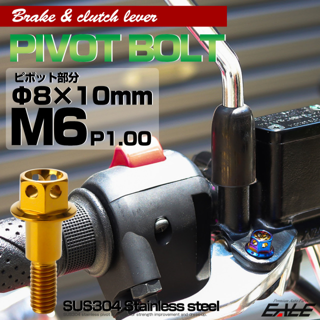 ブレーキレバー クラッチレバー 取付用 ピボットボルト Φ8×10mm M6×13mm P=1.00 ゴールド フラワーヘッド SUS TH0531 【メール便可】
