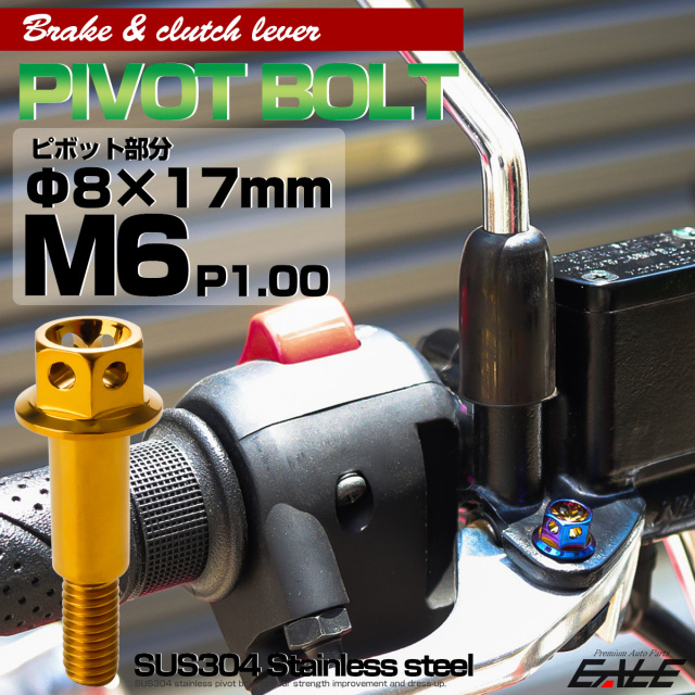 ブレーキレバー クラッチレバー 取付用 ピボットボルト Φ8×17mm M6×13mm P=1.00 ゴールド フラワーヘッド SUS TH0532 【メール便可】