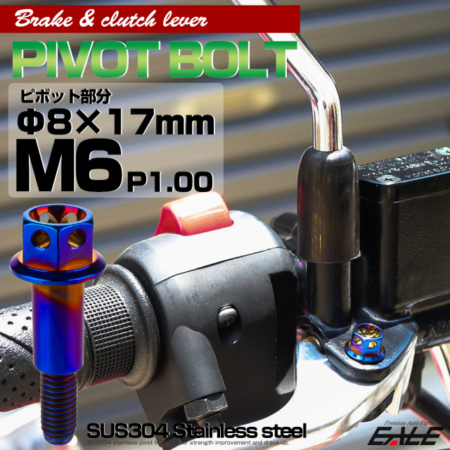 ブレーキレバー クラッチレバー 取付用 ピボットボルト Φ8×17mm M6×13mm P=1.00 焼きチタン フラワーヘッド SUS TH0534 【メール便可】