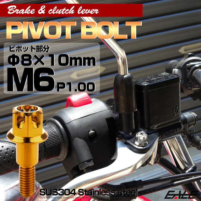 ブレーキレバー クラッチレバー 取付用 ピボットボルト Φ8×10mm M6×13mm P=1.00 ゴールド A3ヘッド SUSステンレス TH0537 【メール便可】