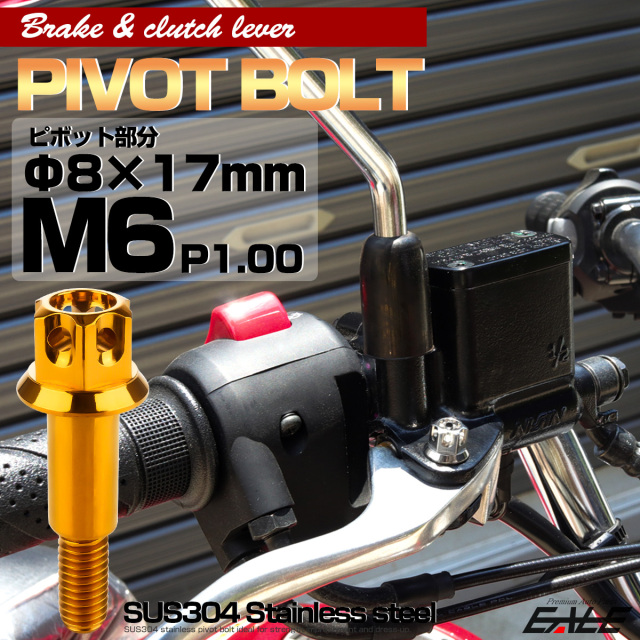 ブレーキレバー クラッチレバー 取付用 ピボットボルト Φ8×17mm M6×13mm P=1.00 ゴールド A3ヘッド SUSステンレス TH0538 【メール便可】