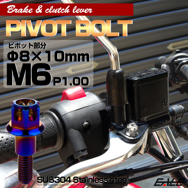 ブレーキレバー クラッチレバー 取付用 ピボットボルト Φ8×10mm M6×13mm P=1.00 焼きチタン A3ヘッド SUSステンレス TH0539 【メール便可】