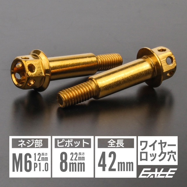 バイクレバー 取付用 ピボットボルト M6 P1.0 ピボット径8mm