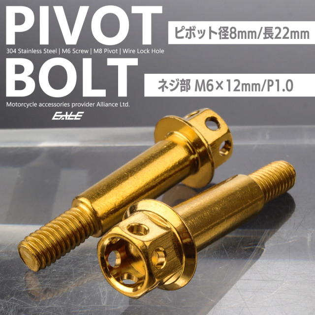 バイクレバー 取付用 ピボットボルト M6 P1.0 ピボット径8mm ステンレス ワイヤーロック穴 ゴールド 2本セット TH0542 【メール便可】