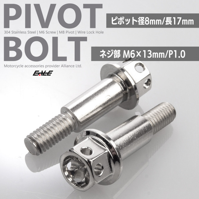 バイク レバー用 ピボットボルト M6 P1.0 ピボット径8mm ステンレス製 ワイヤーロック穴付き 補修 交換 カスタム シルバー 2本セット TH0547【メール便可】