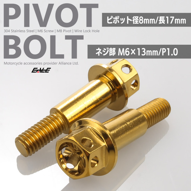 バイク レバー用 ピボットボルト M6 P1.0 ピボット径8mm ステンレス製 ワイヤーロック穴付き 補修 交換 カスタム ゴールド 2本セット TH0548【メール便可】