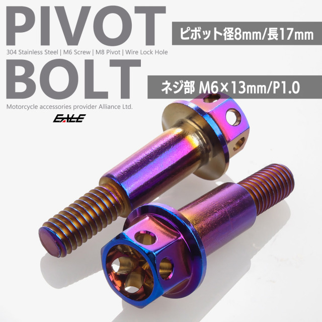 バイク レバー用 ピボットボルト M6 P1.0 ピボット径8mm ステンレス製 ワイヤーロック穴付き 補修 交換 カスタム 焼チタン 2本セット TH0549【メール便可】