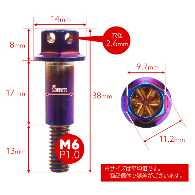 バイクレバー 取付用 ピボットボルト ピボット径8mm M6 P1.0