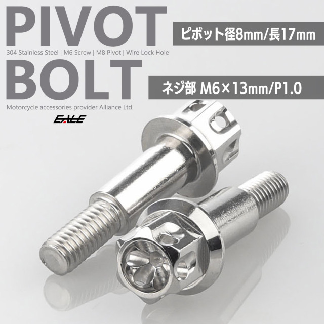 バイクレバー 取付用 ピボットボルト ピボット径8mm M6 P1.0 ステンレス ワイヤーロック穴 A3ヘッド シルバー 2本セット TH0550【メール便可】