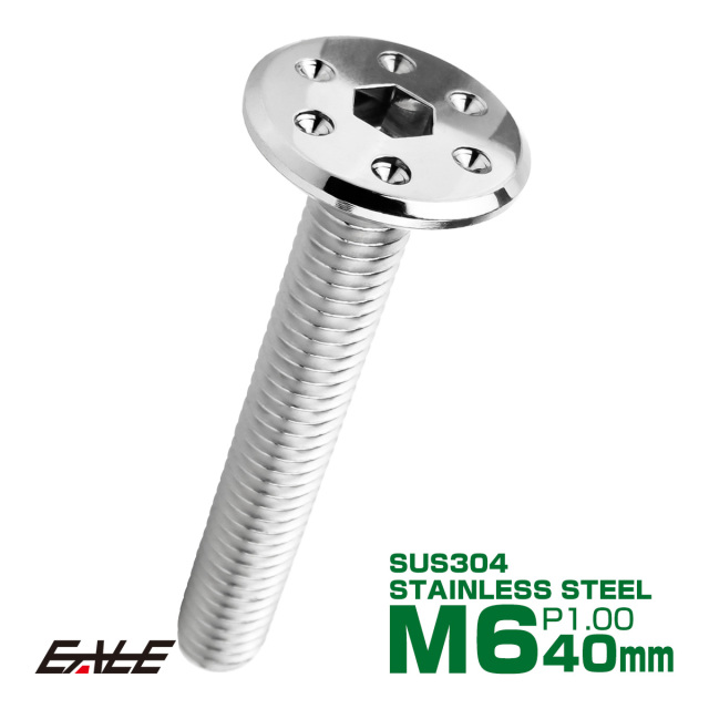 ステンレスボルト M6×40mm P1.0 ホールヘッド フラット 六角穴付