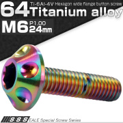 チタンボルト M6×25mm P1.00 頭部径14mm ボタンボルト 六角穴 ホールヘッド レインボー 虹色 JA010 【メール便可】