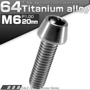 チタンボルト M6×20mm P1.0 キャップボルト 六角穴付 テーパーヘッド シルバー JA104 【メール便可】