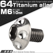 チタンボルト M6×10mm P1.00 頭部径14mm ボタンボルト 六角穴 ホールヘッド シルバー 原色 JA1125 【メール便可】