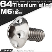 チタンボルト M6×12mm P1.00 ボタンボルト 頭部径14mm 六角穴 グレー 素地色 ホール JA1126 【メール便可】