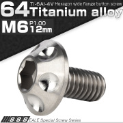 チタンボルト M6×12mm P1.00 頭部径14mm ボタンボルト 六角穴 ホールヘッド シルバー 原色 JA1126 【メール便可】