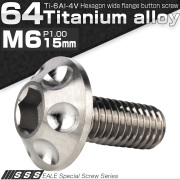 チタンボルト M6×15mm P1.00 頭部径14mm ボタンボルト 六角穴 ホールヘッド シルバー 原色 JA1127 【メール便可】