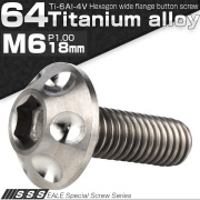 チタンボルト M6×18mm P1.00 頭部径14mm ボタンボルト 六角穴 ホールヘッド シルバー 原色 JA1128 【メール便可】
