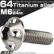 チタンボルト M6×24mm P1.00 頭部径14mm ボタンボルト 六角穴 ホールヘッド シルバー 原色 JA1129 【メール便可】