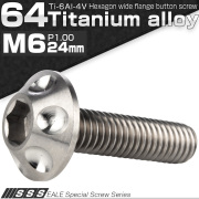 チタンボルト M6×24mm P1.00 頭部径16mm ボタンボルト 六角穴 ホールヘッド シルバー 原色 JA1130 【メール便可】