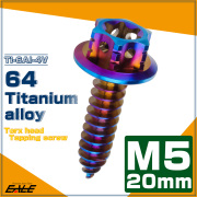64チタン製 M5×20mm タッピングネジ トルクス穴 フランジ付 ヘキサゴンヘッド ビス 焼きチタン ダークカラー JA1209 【メール便可】