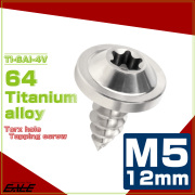 タッピングネジ M5×12mm チタン トルクス穴 フランジ付き ビス シルバー JA1246 【メール便可】