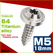 タッピングネジ M5×18mm チタン トルクス穴 フランジ付き ビス シルバー JA1260 【メール便可】