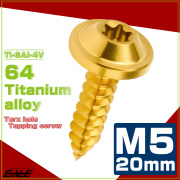 タッピングネジ M5×20mm チタン トルクス穴 フランジ付き ビス ゴールド JA1270 【メール便可】