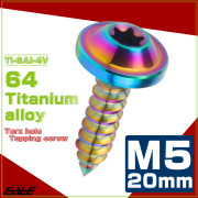 タッピングネジ M5×20mm チタン トルクス穴 フランジ付き ビス ライトカラー レインボー JA1271 【メール便可】