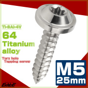 タッピングネジ M5×25mm チタン トルクス穴 フランジ付き ビス シルバー JA1274 【メール便可】