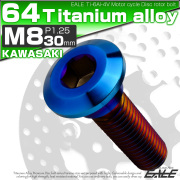 チタンボルト M8×30mm P=1.25 ブレーキディスク ローター ボルト カワサキ車用 焼きチタン JA1470 【メール便可】