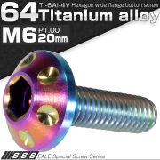 チタンボルト M6×20mm P1.00 頭部径14mm ボタンボルト 六角穴 ホールヘッド レインボー 虹色 JA164 【メール便可】