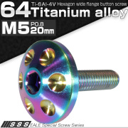 チタンボルト M5×20mm P0.80 頭部径18mm ボタンボルト 六角穴 レインボー ホール JA166 【メール便可】