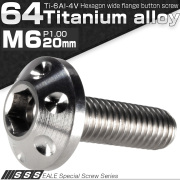 チタンボルト M6×20mm P1.00 頭部径14mm ボタンボルト 六角穴 ホールヘッド シルバー 原色 JA180 【メール便可】