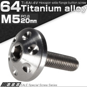 チタンボルト M5×20mm P0.80 頭部径16mm ボタンボルト 六角穴 ホールヘッド シルバー 原色 JA181 【メール便可】