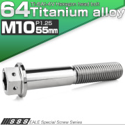 チタンボルト M10×55mm P1.25 六角ボルト 六角穴付き ホールヘッド フランジボルト シルバー JA1822 【メール便可】