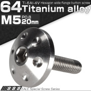 チタンボルト M5×20mm P0.80 頭部径18mm ボタンボルト 六角穴 ホールヘッド シルバー 原色 JA182 【メール便可】