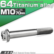 チタンボルト M10×70mm P1.25 六角ボルト 六角穴付き ホールヘッド フランジボルト シルバー JA1831 【メール便可】