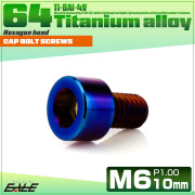 チタンボルト M6×10mm P1.0 キャップボルト キャップスクリュー 六角穴付き ボルト 焼きチタン JA1913 【メール便可】