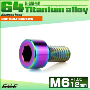 チタンボルト M6×12mm P1.0 キャップボルト キャップスクリュー 六角穴付き ボルト レインボー JA1918 【メール便可】
