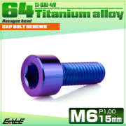 チタンボルト M6×15mm P1.0 キャップボルト キャップスクリュー 六角穴付き ボルト パープルブルー JA1922 【メール便可】