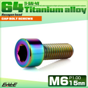チタンボルト M6×15mm P1.0 キャップボルト キャップスクリュー 六角穴付き ボルト レインボー JA1924 【メール便可】