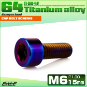 チタンボルト M6×15mm P1.0 キャップボルト キャップスクリュー 六角穴付き ボルト 焼きチタン JA1925 【メール便可】