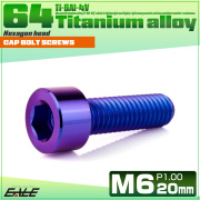 チタンボルト M6×20mm P1.0 キャップボルト キャップスクリュー 六角穴付き ボルト パープルブルー JA1934 【メール便可】