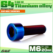 チタンボルト M6×20mm P1.0 キャップボルト キャップスクリュー 六角穴付き ボルト 焼きチタン JA1937 【メール便可】