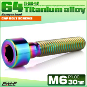 チタンボルト M6×30mm P1.0 キャップボルト キャップスクリュー 六角穴付き ボルト レインボー JA1948 【メール便可】