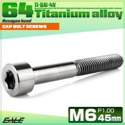 チタンボルト M6×45mm P1.0 キャップボルト キャップスクリュー 六角穴付き ボルト シルバー JA1963 【メール便可】