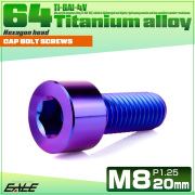 チタンボルト M8×20mm P1.25 キャップボルト キャップスクリュー 六角穴付き ボルト パープルブルー JA2000 【メール便可】