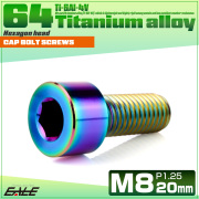 チタンボルト M8×20mm P1.25 キャップボルト キャップスクリュー 六角穴付き ボルト レインボー JA2002 【メール便可】